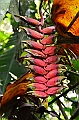 229_Ecuador_Amazonas_Aera