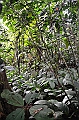 235_Ecuador_Amazonas_Aera