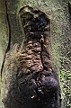 236_Ecuador_Amazonas_Aera