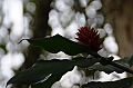 238_Ecuador_Amazonas_Aera