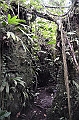 241_Ecuador_Amazonas_Aera