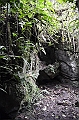 242_Ecuador_Amazonas_Aera