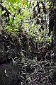 243_Ecuador_Amazonas_Aera