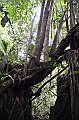 245_Ecuador_Amazonas_Aera