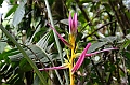 247_Ecuador_Amazonas_Aera