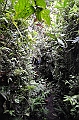 250_Ecuador_Amazonas_Aera