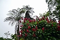 256_Ecuador_Amazonas_Aera