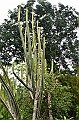 257_Ecuador_Amazonas_Aera