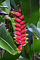 258_Ecuador_Amazonas_Aera