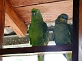 259_Ecuador_Amazonas_Aera