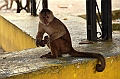262_Ecuador_Amazonas_Aera