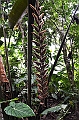 273_Ecuador_Amazonas_Aera_Napo_River_Tour