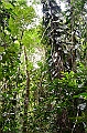 277_Ecuador_Amazonas_Aera_Napo_River_Tour