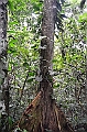 278_Ecuador_Amazonas_Aera_Napo_River_Tour