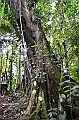 280_Ecuador_Amazonas_Aera_Napo_River_Tour