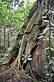 282_Ecuador_Amazonas_Aera_Napo_River_Tour