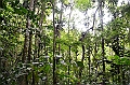 288_Ecuador_Amazonas_Aera_Napo_River_Tour