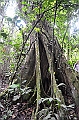 291_Ecuador_Amazonas_Aera_Napo_River_Tour