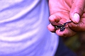 293_Ecuador_Amazonas_Aera_Napo_River_Tour