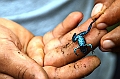 294_Ecuador_Amazonas_Aera_Napo_River_Tour