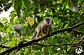 307_Ecuador_Amazonas_Aera_Napo_River_Tour