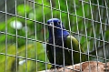 310_Ecuador_Amazonas_Aera_Napo_River_Tour