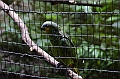 319_Ecuador_Amazonas_Aera_Napo_River_Tour