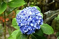 324_Ecuador_Pailon_del_Diablo