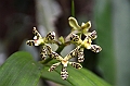 327_Ecuador_Pailon_del_Diablo