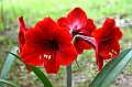 338_Ecuador_Pailon_del_Diablo