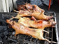 355_Ecuador_Banos_Guinea_Pig
