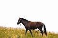 357_Ecuador_Banos