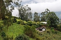364_Ecuador_Banos