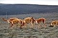 381_Ecuador_Volcan_Chimborazo_Tour