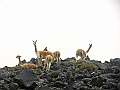 388_Ecuador_Volcan_Chimborazo_Tour