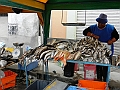 427_Ecuador_Alausi_Market