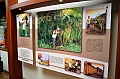 450_Ecuador_Cuenca_Panama_Hat_Factory