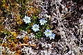 503_Ecuador_Parque_Nacional_Cajas