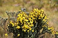509_Ecuador_Parque_Nacional_Cajas