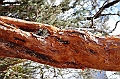 511_Ecuador_Parque_Nacional_Cajas