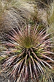 512_Ecuador_Parque_Nacional_Cajas