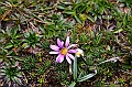 519_Ecuador_Parque_Nacional_Cajas