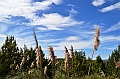 552_Ecuador