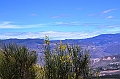 556_Ecuador