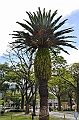 562_Ecuador_Loja