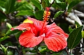 563_Ecuador_Loja