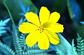 583_Ecuador_Vilcabamba