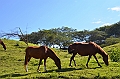 586_Ecuador_Vilcabamba