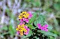 588_Ecuador_Vilcabamba