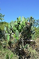 589_Ecuador_Vilcabamba